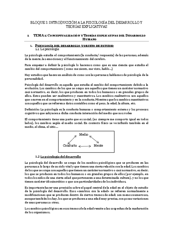 Miniatura del documento Tema-1-Belen.pdf