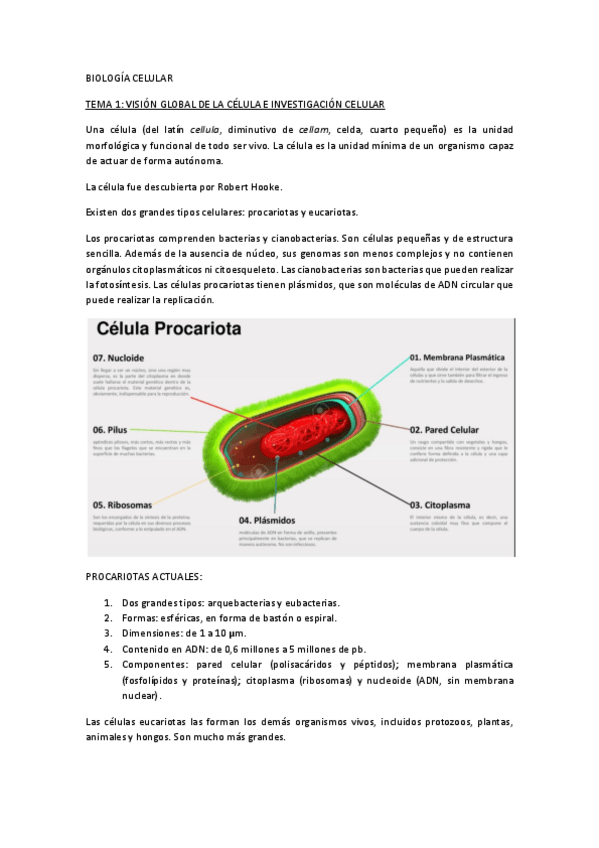 Miniatura del documento BIOLOGIA-CELULAR-TEMA-1.pdf
