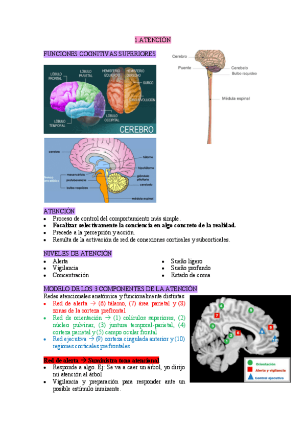 Miniatura del documento UC1-apuntes-Psicofisiologia.pdf