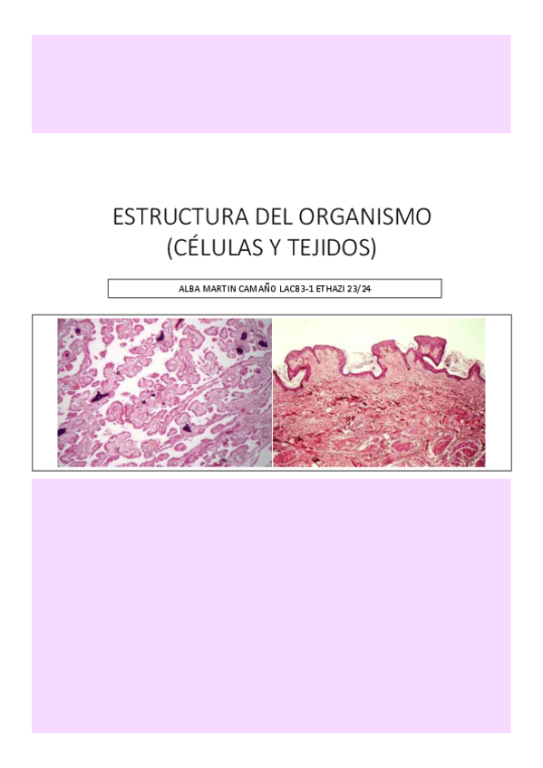 Miniatura del documento Extructura-del-organismo--celulas-y-tejidos-.pdf