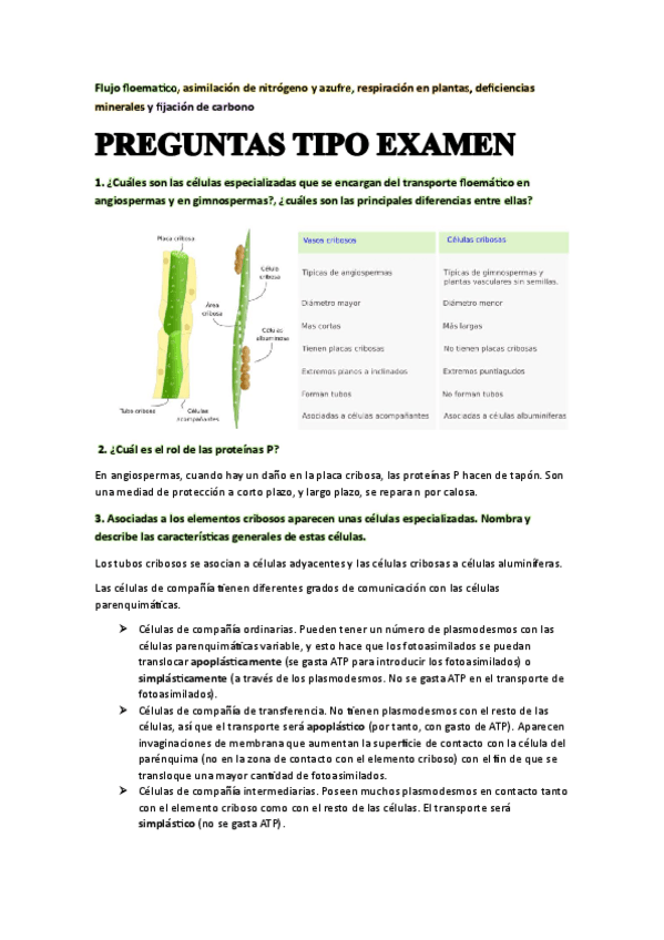 Miniatura del documento preguntas-examen-primer-parcial.pdf