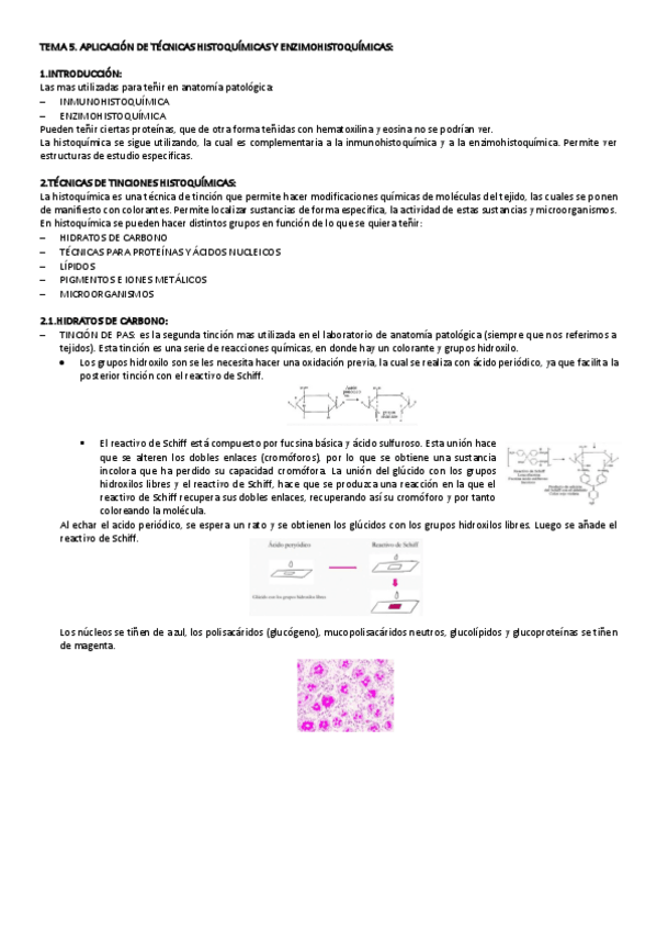 Miniatura del documento TEMA-5-PROCESAMIENTO.pdf