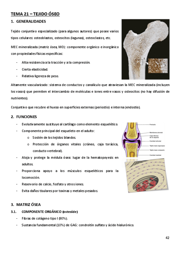 Miniatura del documento TEMA-21.pdf