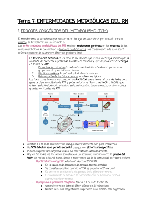 Miniatura del documento Tema-7.pdf