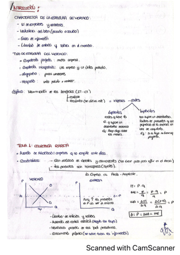 Miniatura del documento MICROECONOMIA-tema-1.pdf