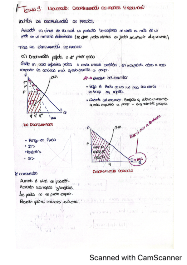 Miniatura del documento MICRO-tema-3.pdf