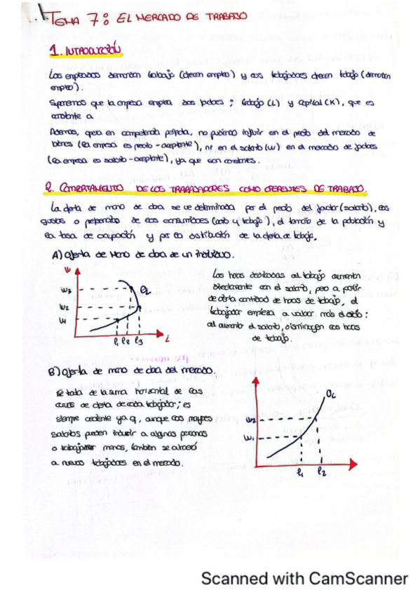 Miniatura del documento MICRO-TEMA-7.pdf