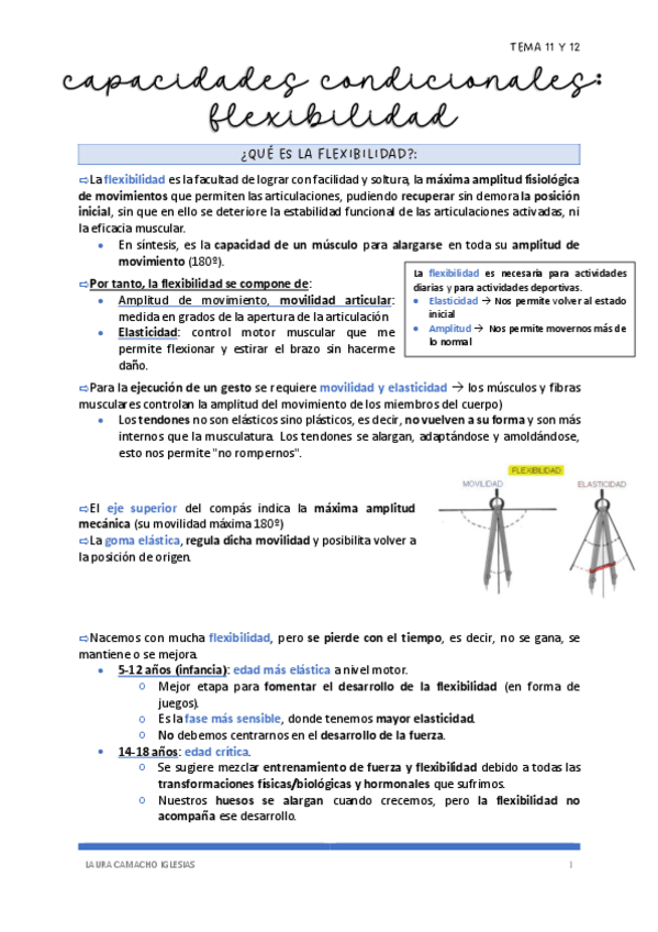 Miniatura del documento TEMA-11-Y-12.-FLEXIBILIDAD-Y-SITUACIONES-DE-APRENDIZAJE.pdf