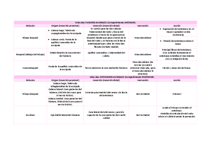 Miniatura del documento Musculos-miembro-superior-brazo-y-antebrazoEsquema.pdf