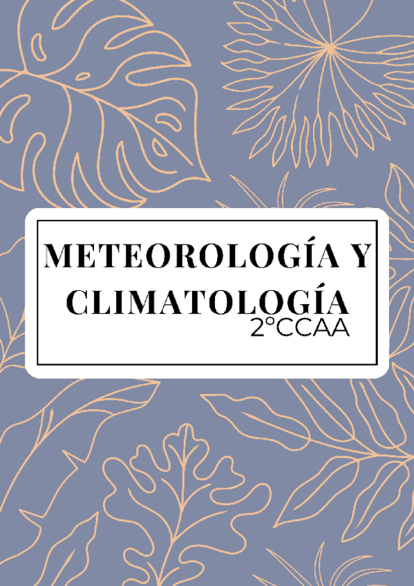 Miniatura del documento Meteorologia-y-climatologia-completo.pdf