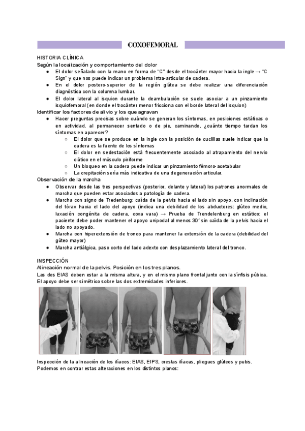 Miniatura del documento COXOFEMORAL.pdf