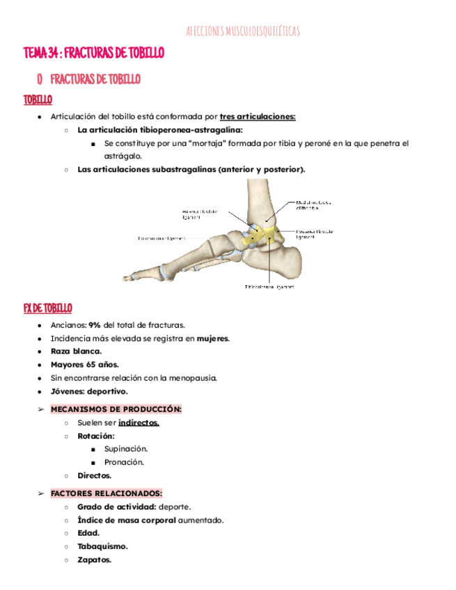 Miniatura del documento Tema 34:fx de tobillo.pdf