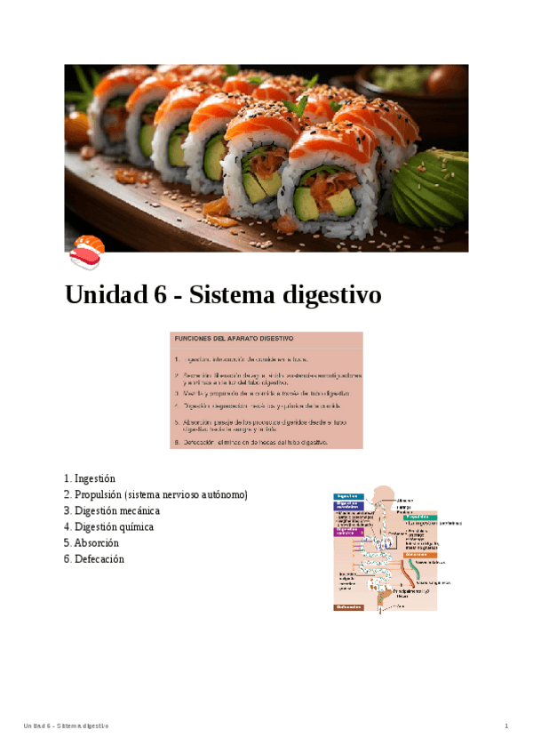 Miniatura del documento Unidad-6-Sistema-digestivo.pdf