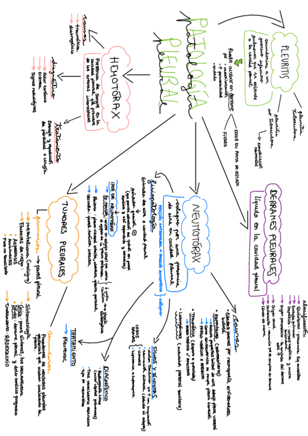 Miniatura del documento Patologia-esquemas-2o-parcial-hasta-patologia-esofagica.pdf