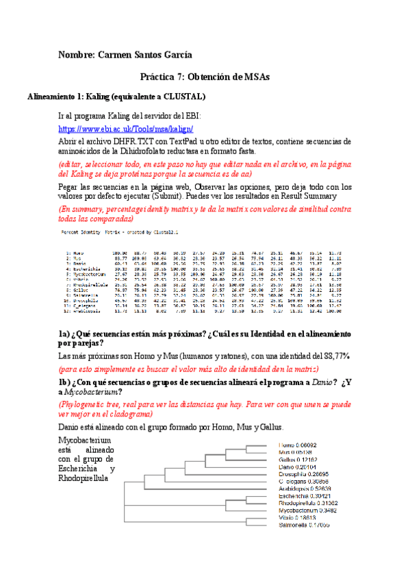 Miniatura del documento resumen-practicas-2.pdf