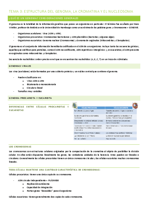 Miniatura del documento TEMA-3-ESTRUCTURA-DEL-GENOMA-LA-CROMATINA-Y-EL-NUCLEOSOMA.pdf