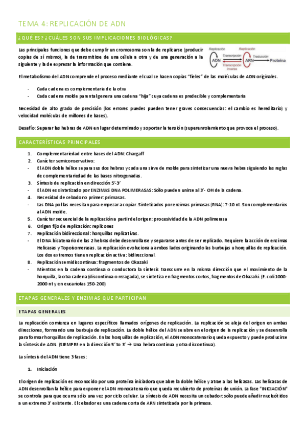 Miniatura del documento TEMA-4-REPLICACION-DE-ADN.pdf