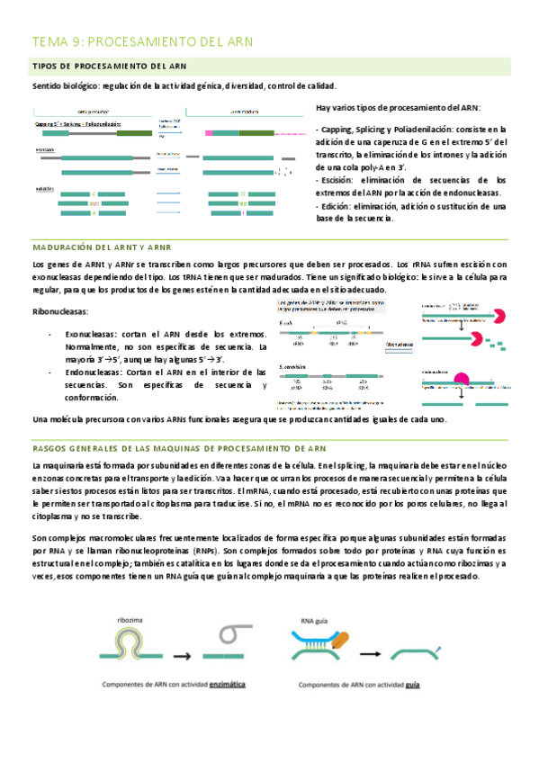 Miniatura del documento TEMA-9-PROCESAMIENTO-DEL-ARN.pdf