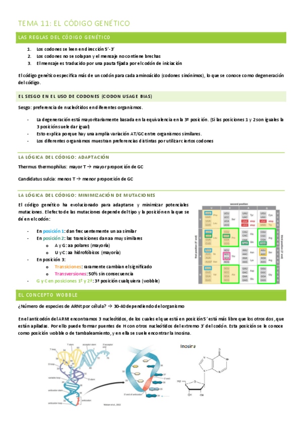 Miniatura del documento TEMA-11-EL-CODIGO-GENETICO.pdf