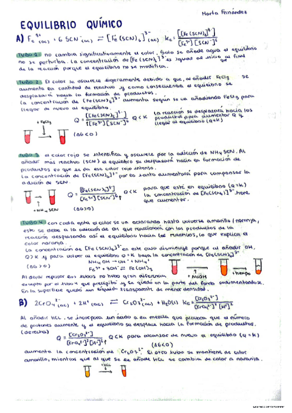 Miniatura del documento practica-equilibrio.pdf