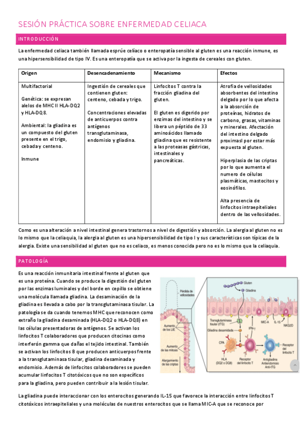 Miniatura del documento sesion-practica-enfermedad-celiaca.pdf
