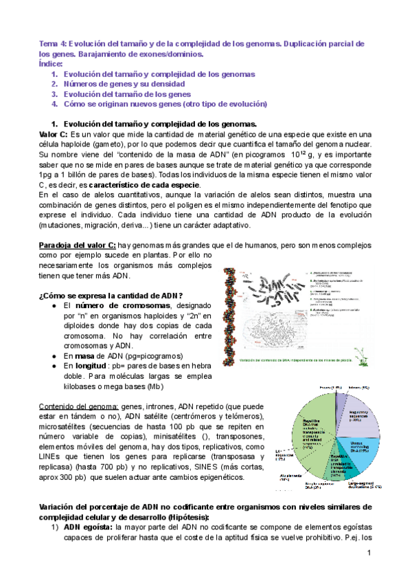 Miniatura del documento Tema-4-definitivo.pdf