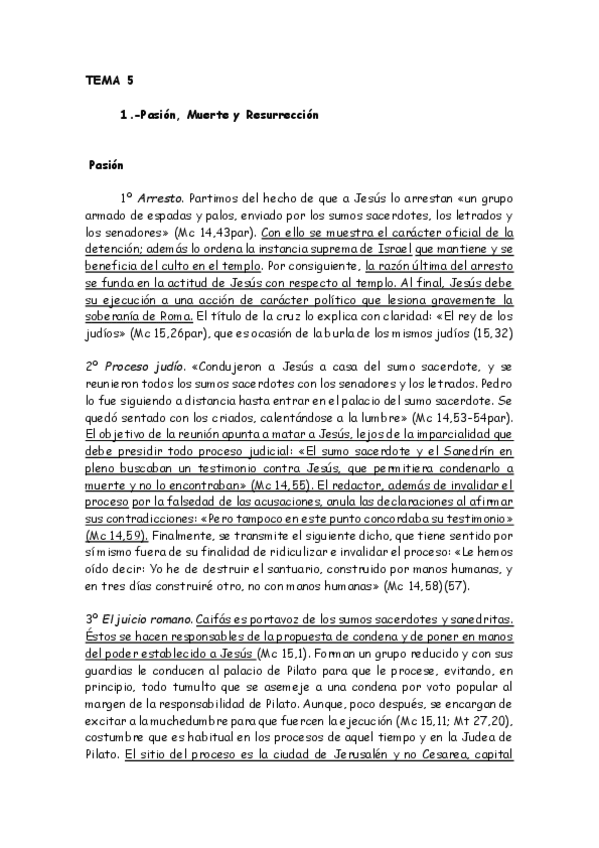 Miniatura del documento TEMA-5-JESUCRISTO.pdf