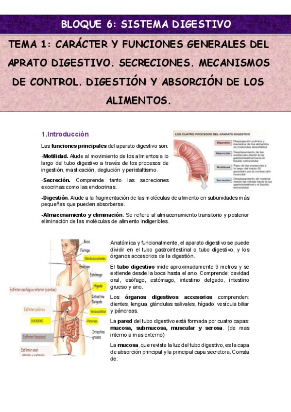 Miniatura del documento aparato-Digestivo.pdf