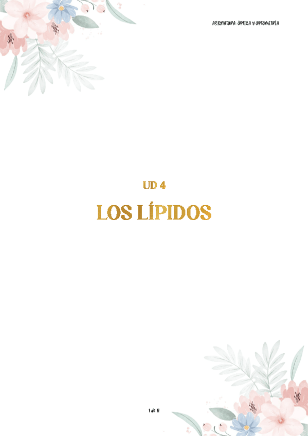 Miniatura del documento ud4-BQ-lipidos.pdf