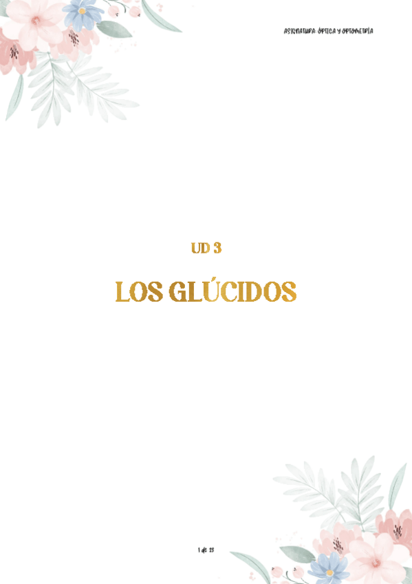 Miniatura del documento ud3-BQ-glucidos.pdf