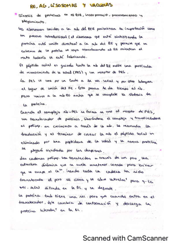 Miniatura del documento RE-AG-lisosomas-y-vacuolas.pdf