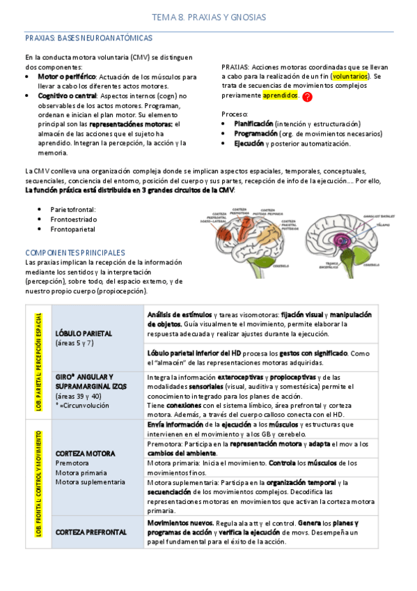 Miniatura del documento Resumen Tema 8 - Neuropsicología de las Praxias y Gnosias.pdf