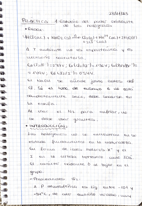 Miniatura del documento Cuaderno-de-laboratorio-Quimica-Inorganica-I.pdf