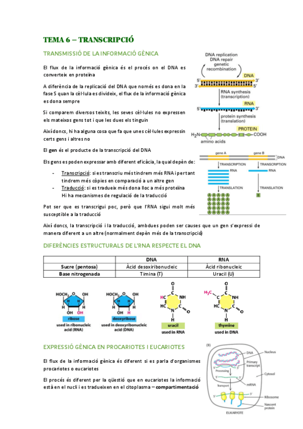 Miniatura del documento 2n-parcial.pdf