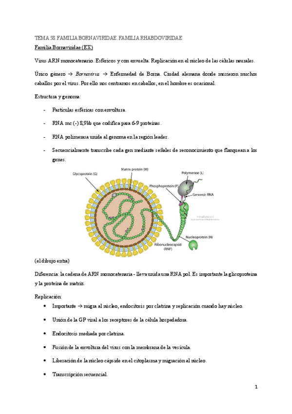 Miniatura del documento TEMA-58.pdf