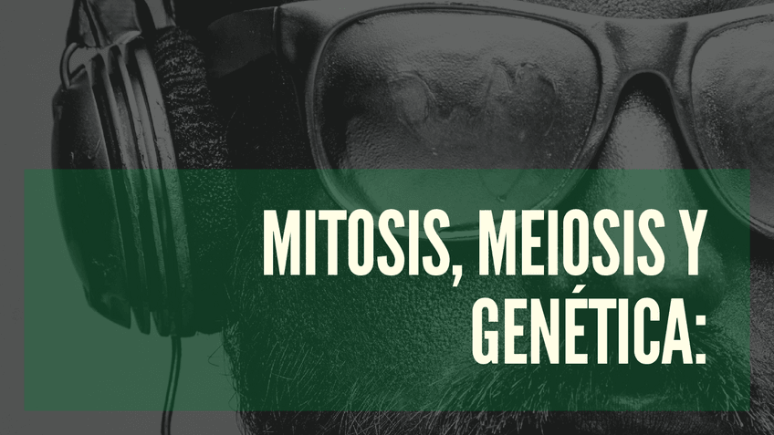 Miniatura del documento Mitosis-meiosis-y-genetica.pdf