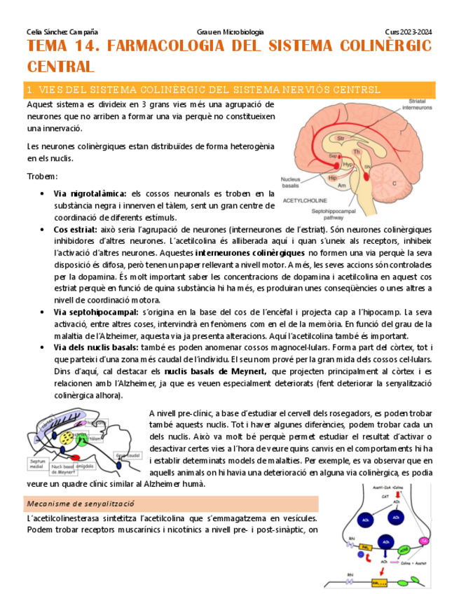Miniatura del documento Tema-14.-Farmacologia-del-sistema-colinergic-central.pdf