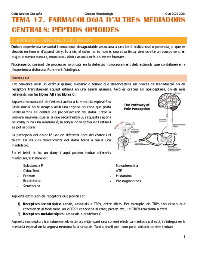Miniatura del documento Tema-17.-Els-opioides.pdf