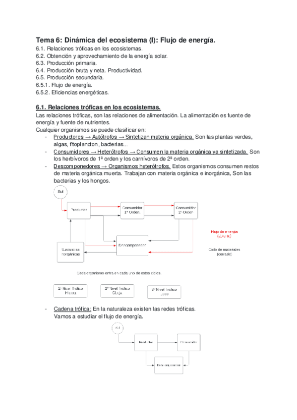 Miniatura del documento Tema-6-Dinamica-del-ecosistema-I-Flujo-de-energia..pdf