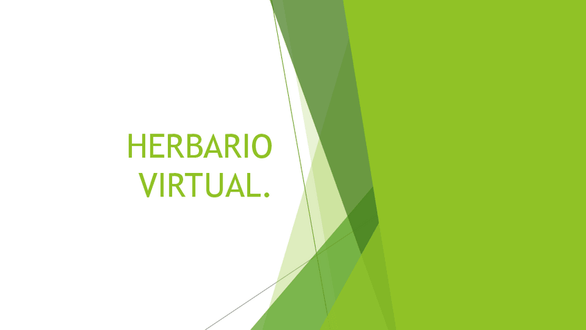 Miniatura del documento HERVARIO-VIRTUAL.pptx.pdf