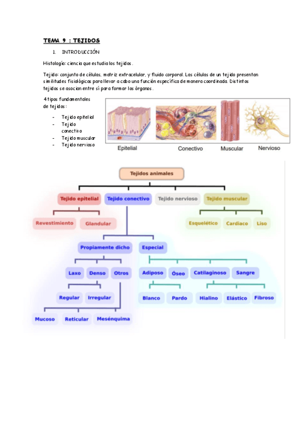 Miniatura del documento TEMA-9.pdf