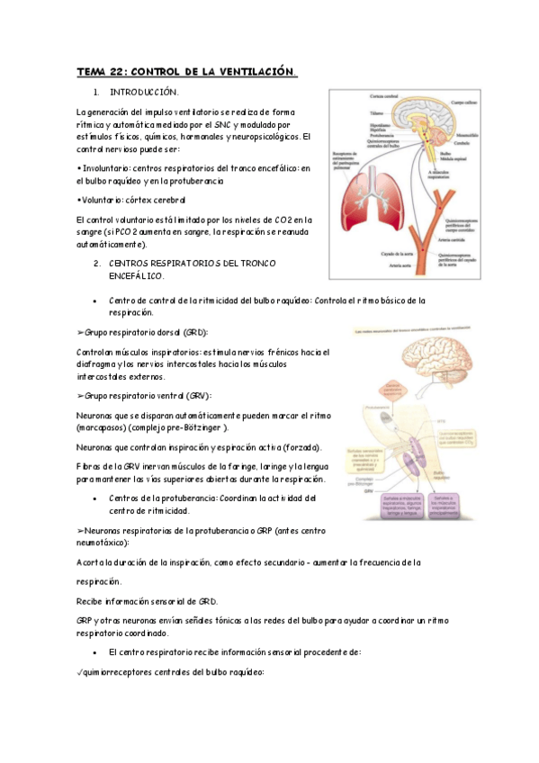 Miniatura del documento TEMA-22.pdf