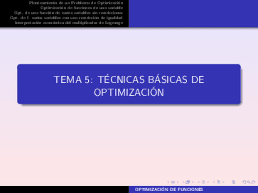 Miniatura del documento TEMA5.pdf