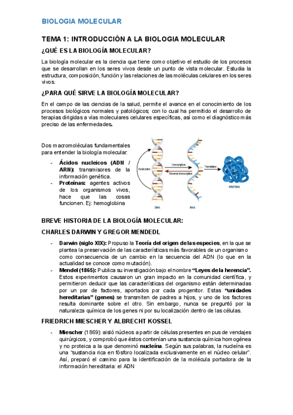 Miniatura del documento biomol-1.pdf