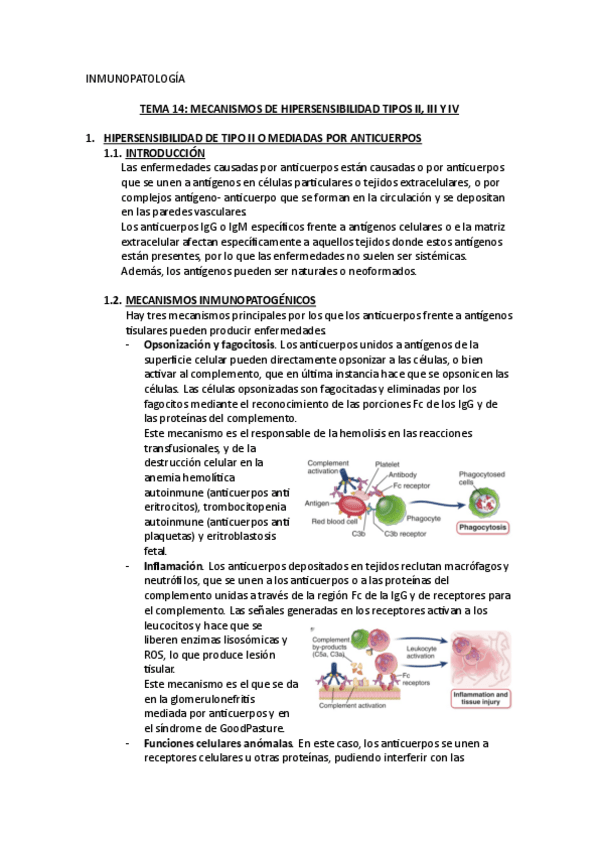 Miniatura del documento tema-14.pdf