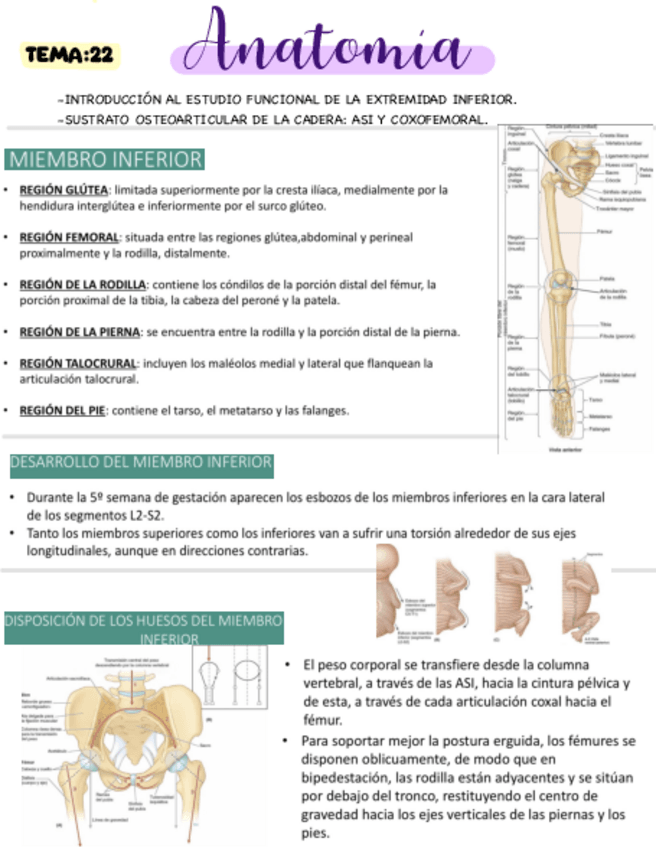 Miniatura del documento T22.pdf