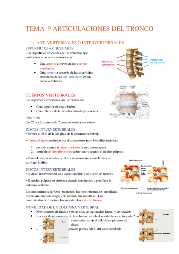 Miniatura del documento TEMA-9-ARTICULACIONES-DEL-TRONCO.docx