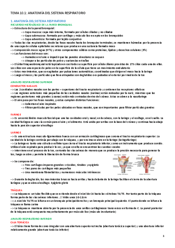 Miniatura del documento TEMA-10-CARDIORESPI.pdf