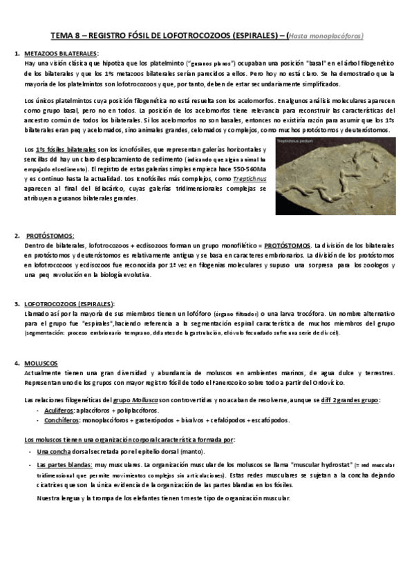 Miniatura del documento TEMA-8-hasta-monoplacoforos.pdf