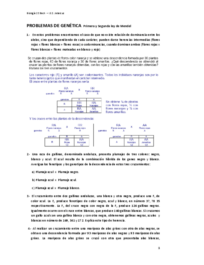 Miniatura del documento Problemas-Genetica-1a-y-2a-Ley-de-Mendel.-Codominancia-herencia-intermedia.pdf